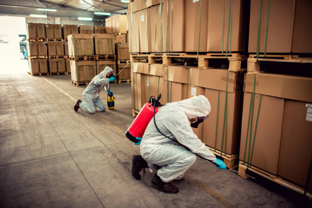 Professional Pest Control in Wilsonville, AL