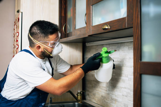 Best Mosquito Control Services  in Wilsonville, AL