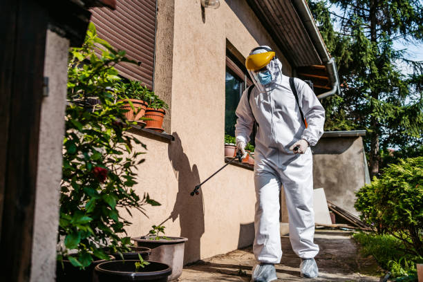Best Pest Inspection Near Me  in Wilsonville, AL