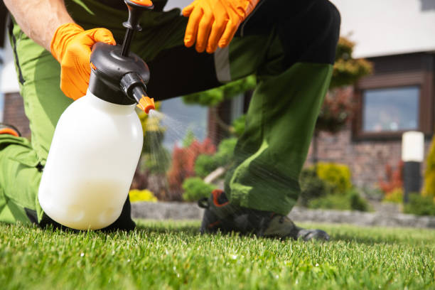 Best Affordable Pest Control Services  in Wilsonville, AL