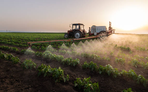 Best Commercial Pest Control Services  in Wilsonville, AL