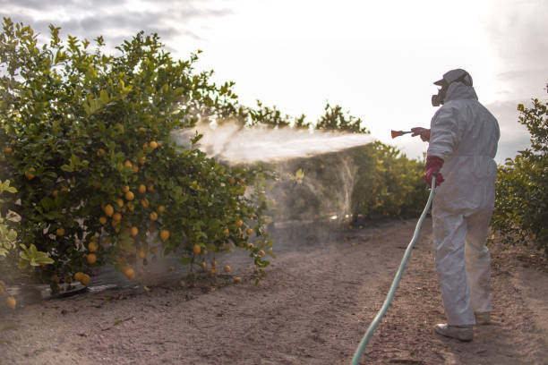 Best Cockroach Control Services  in Wilsonville, AL