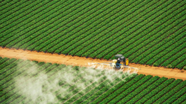 Best Best Pest Control Companies  in Wilsonville, AL
