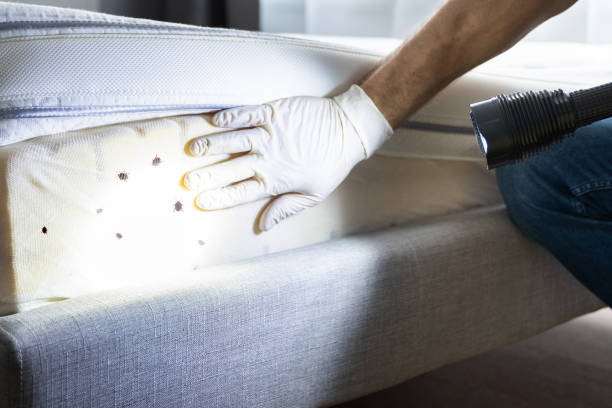 Best Exterminator Services  in Wilsonville, AL