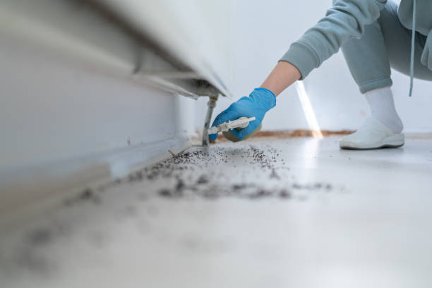 Best Best Pest Control Companies  in Wilsonville, AL