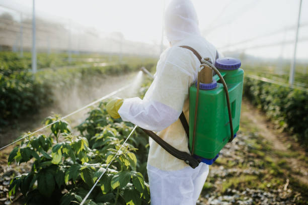 Best Local Pest Control Services  in Wilsonville, AL